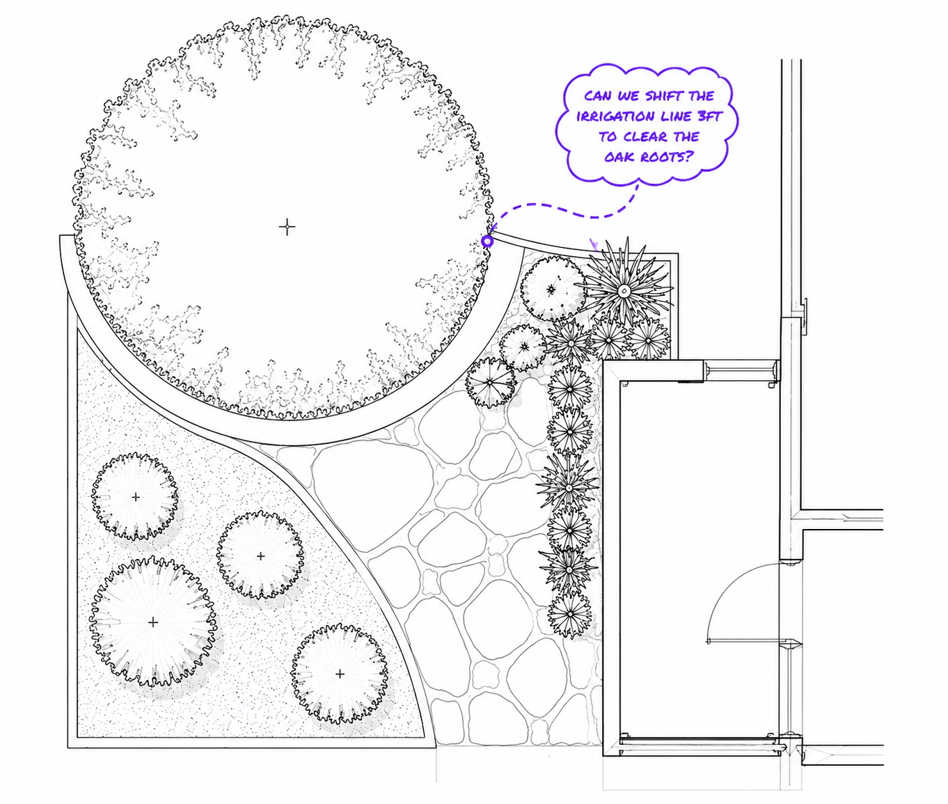 A landscaping planting plan with a call-out asking whether the irrigation line can shift to clear the oak roots